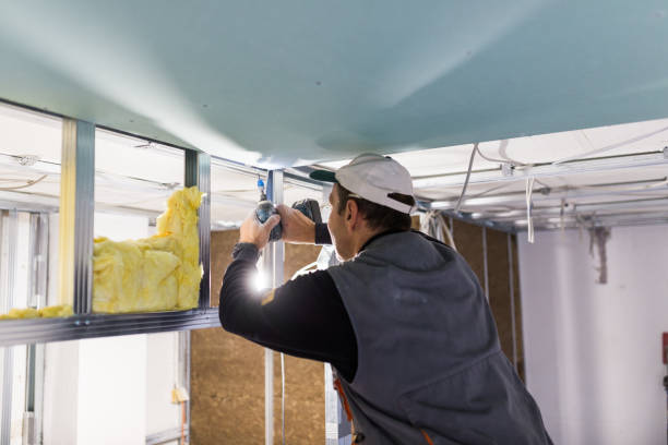 Best Residential Insulation Services  in Schenectady, NY