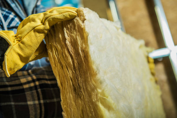 Best Crawl Space Insulation  in Schenectady, NY