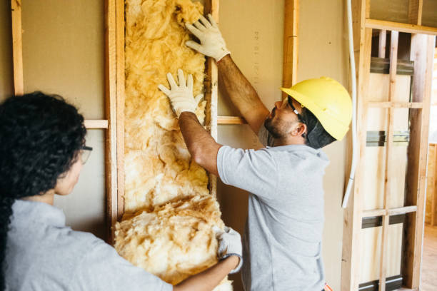 Best Insulation Inspection Services  in Schenectady, NY