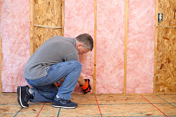 Best Insulation Removal  in Schenectady, NY