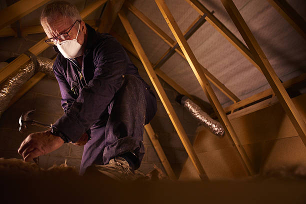 Best Insulation for New Construction  in Schenectady, NY