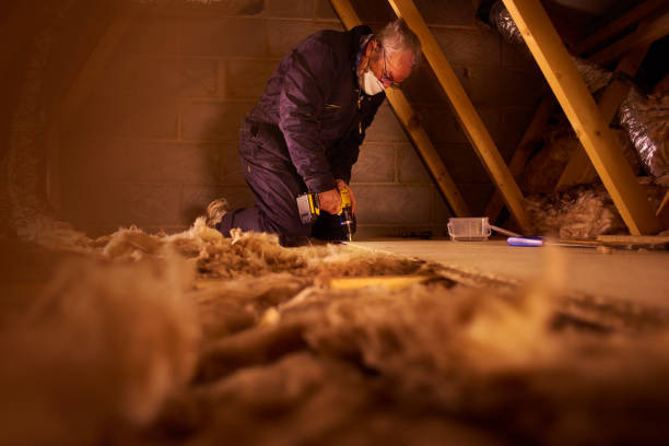 Best Insulation Contractor Near Me  in Schenectady, NY