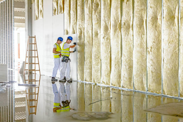 Best Insulation Replacement Services  in Schenectady, NY